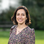 Özge Mercanoğlu Sincan profile image