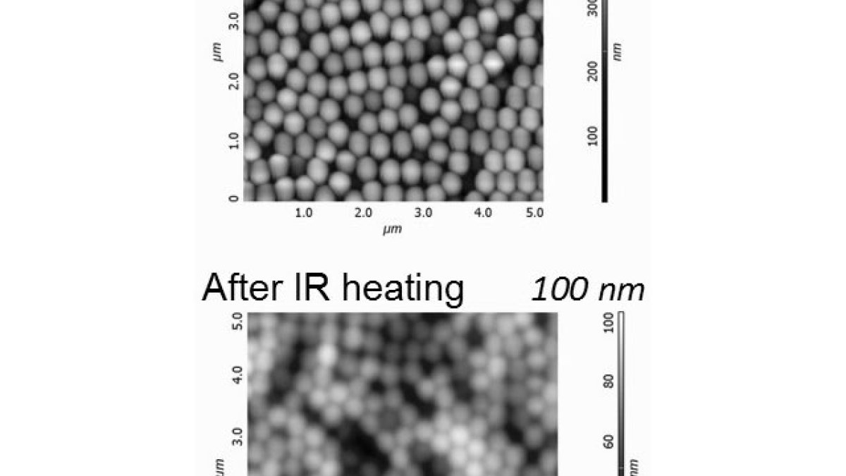 Atomic force microscopy