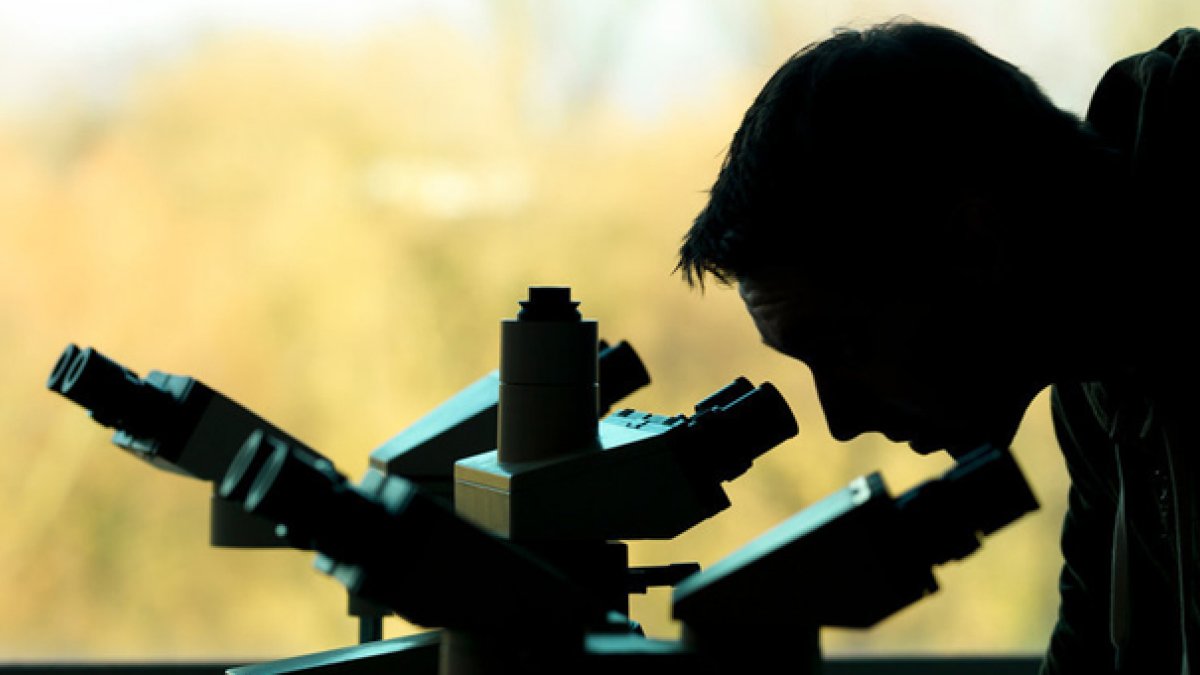 Person using microscope