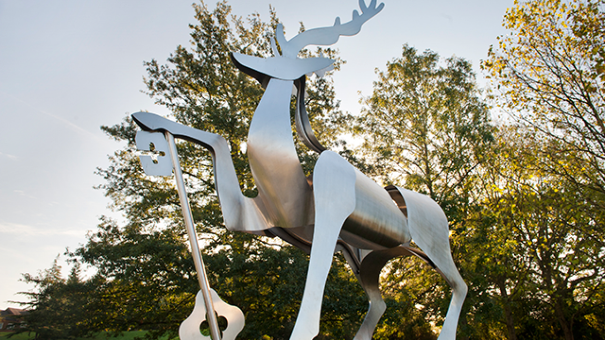 The stag statue on the University of Surrey campus