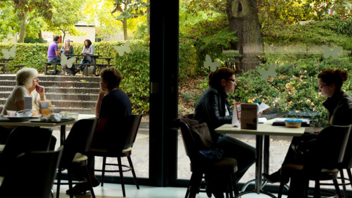 University of Surrey Campus 4.jpg Thumbnail