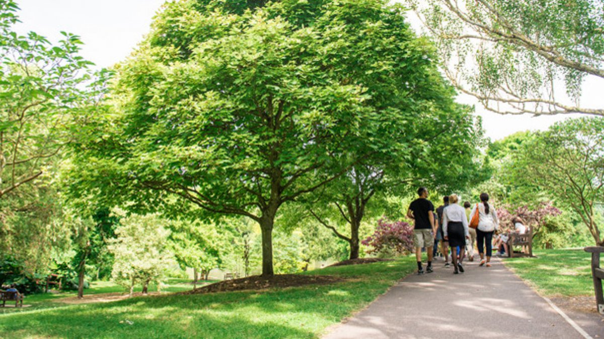 Group of people walking along a path