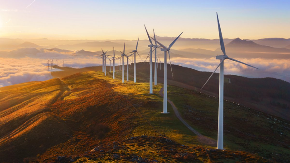 Lots of wind turbines in field at sunset