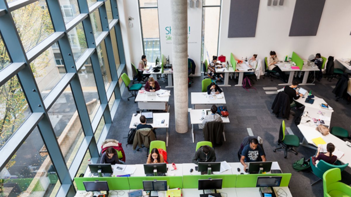 library 11.jpg Thumbnail