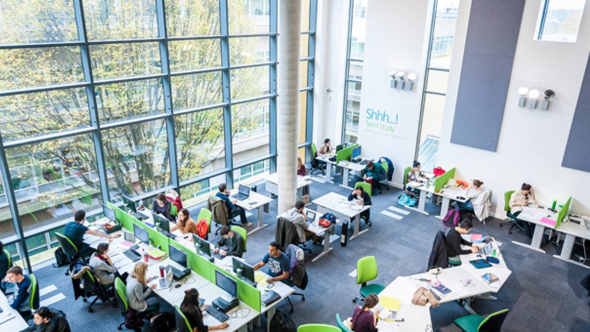 library 12.jpg Thumbnail