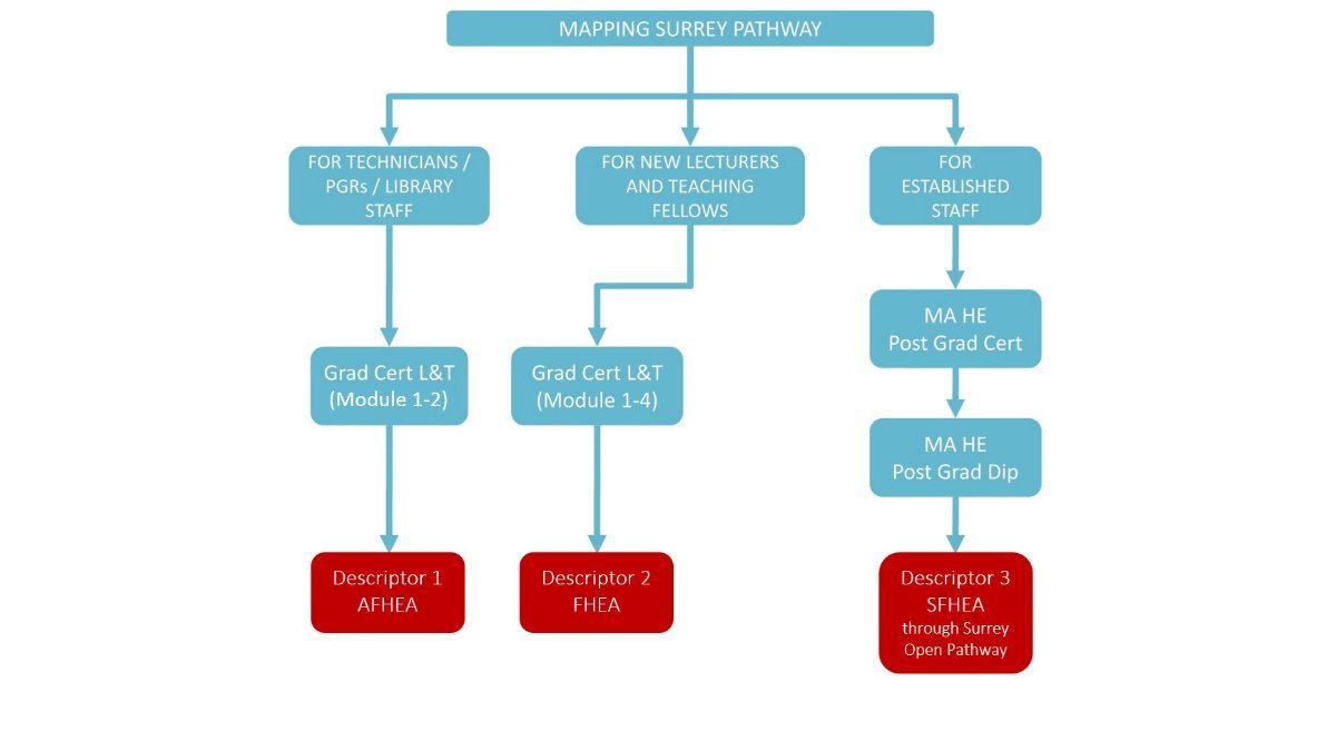 mapping-surrey-pathway-diagram Thumbnail