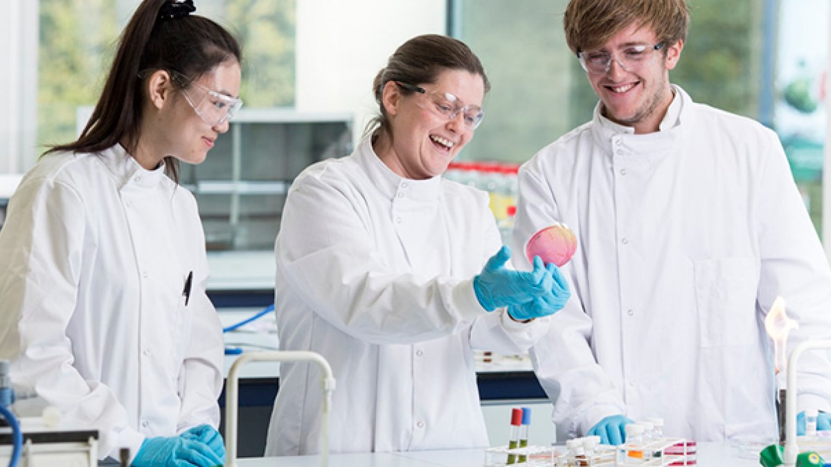 A male and female student comparing petri dishes with an academic staff member