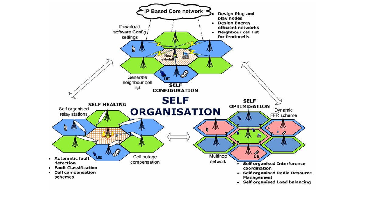 Self organisation graph