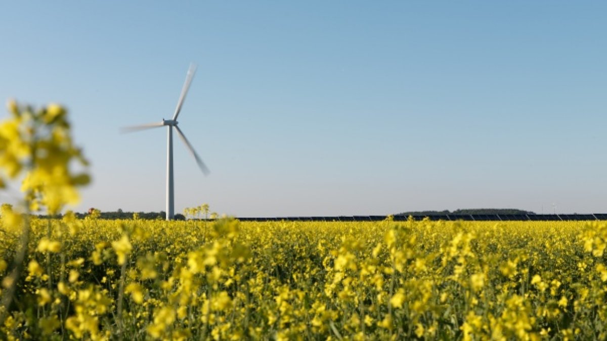 Wind turbine in field