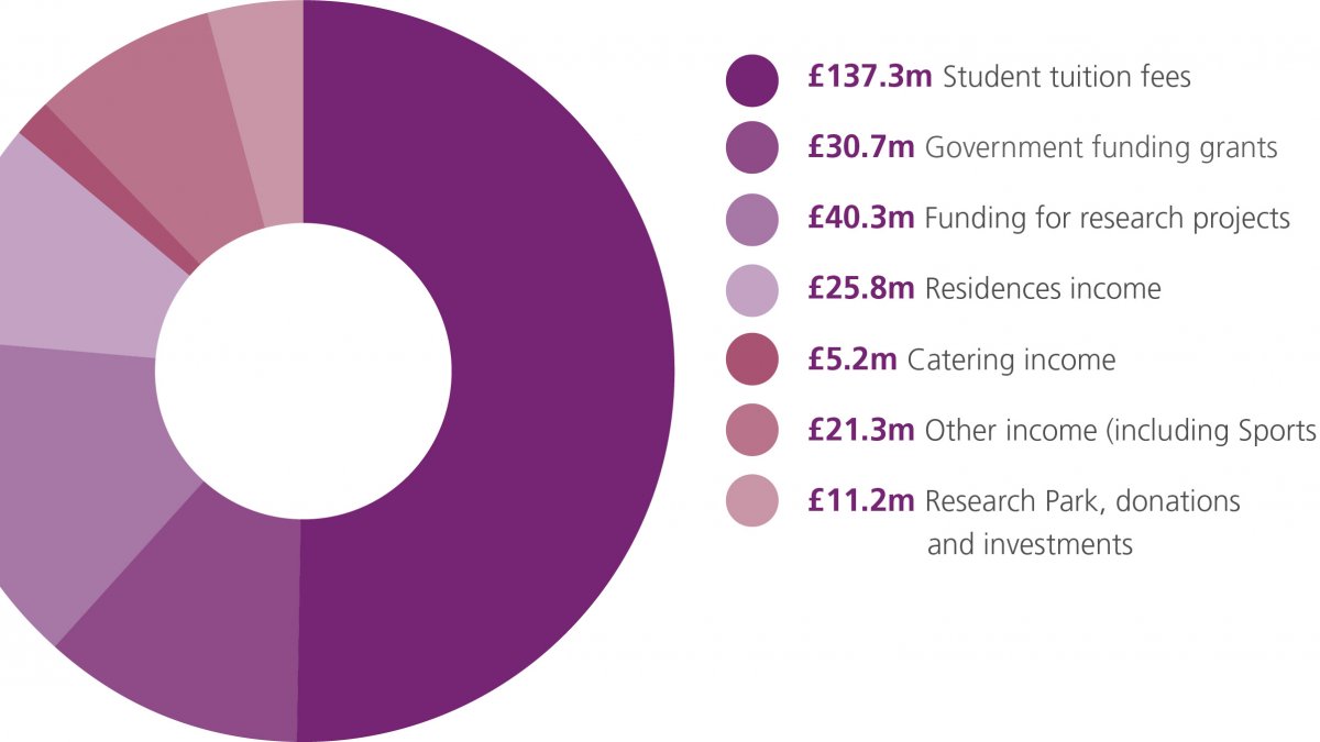 Infographic of income