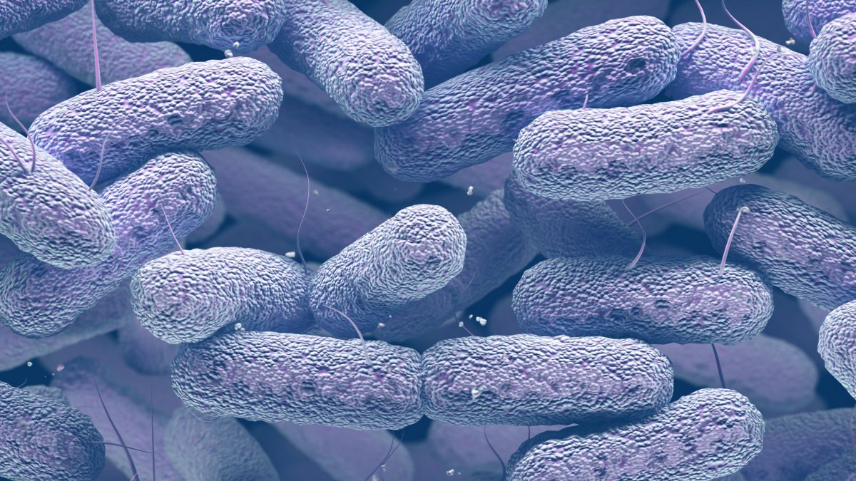 Drug-producing bacteria editorial image