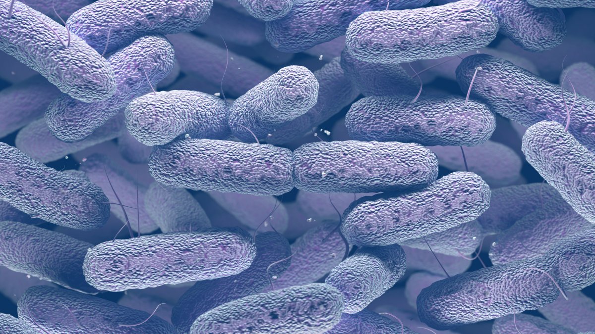 Drug-producing bacteria editorial image