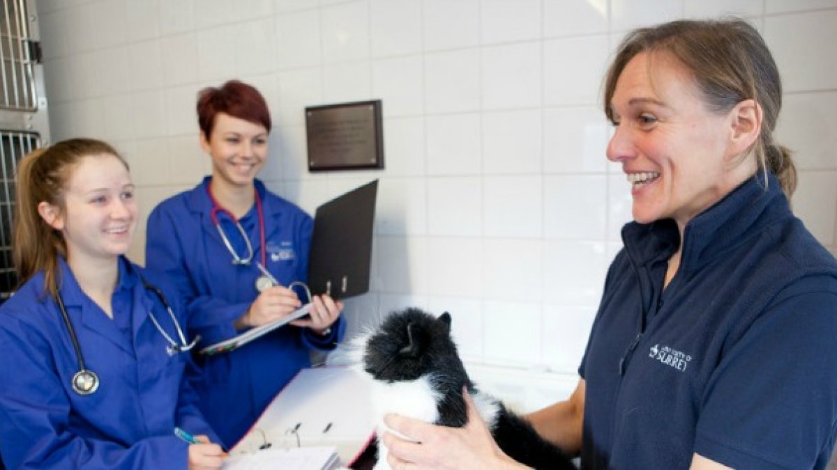 Veterinary Medicine and Science degree student University of Surrey