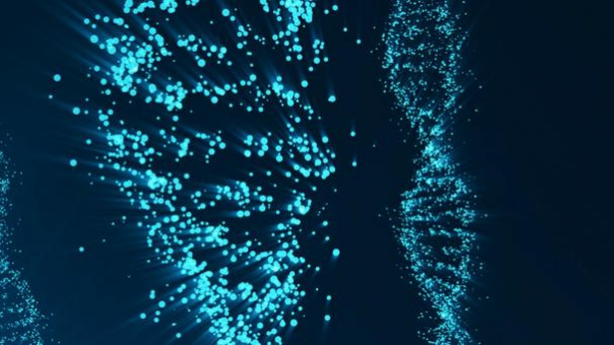 Quantum Biology