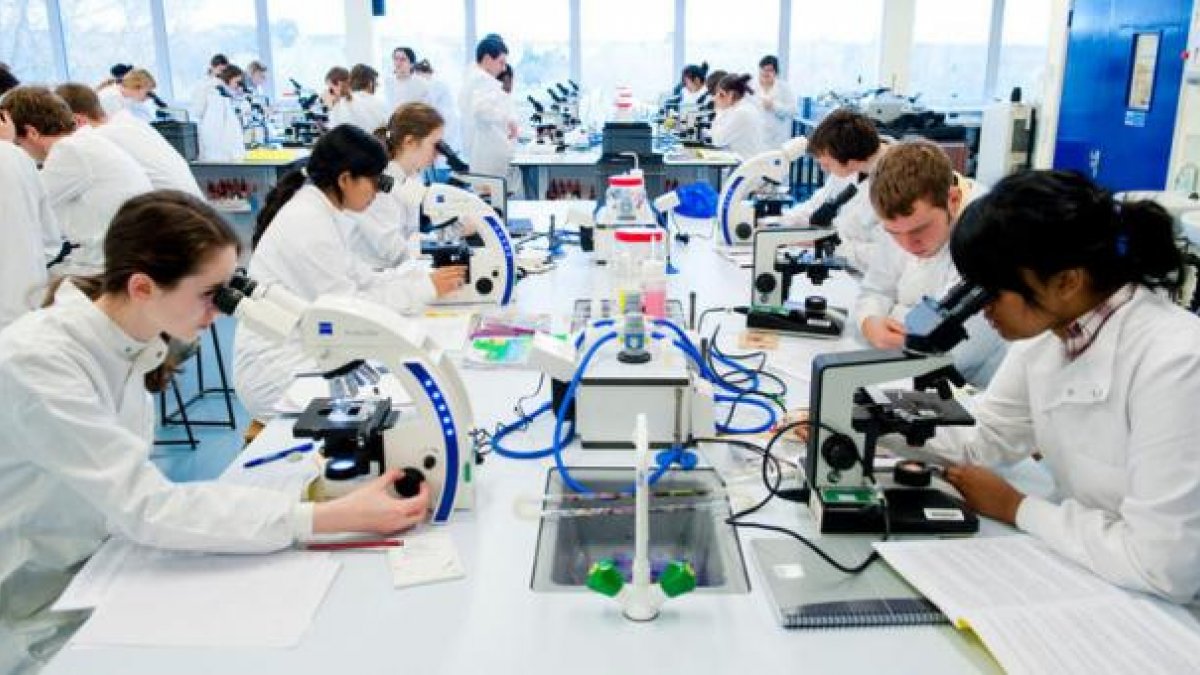 Students in a laboratory