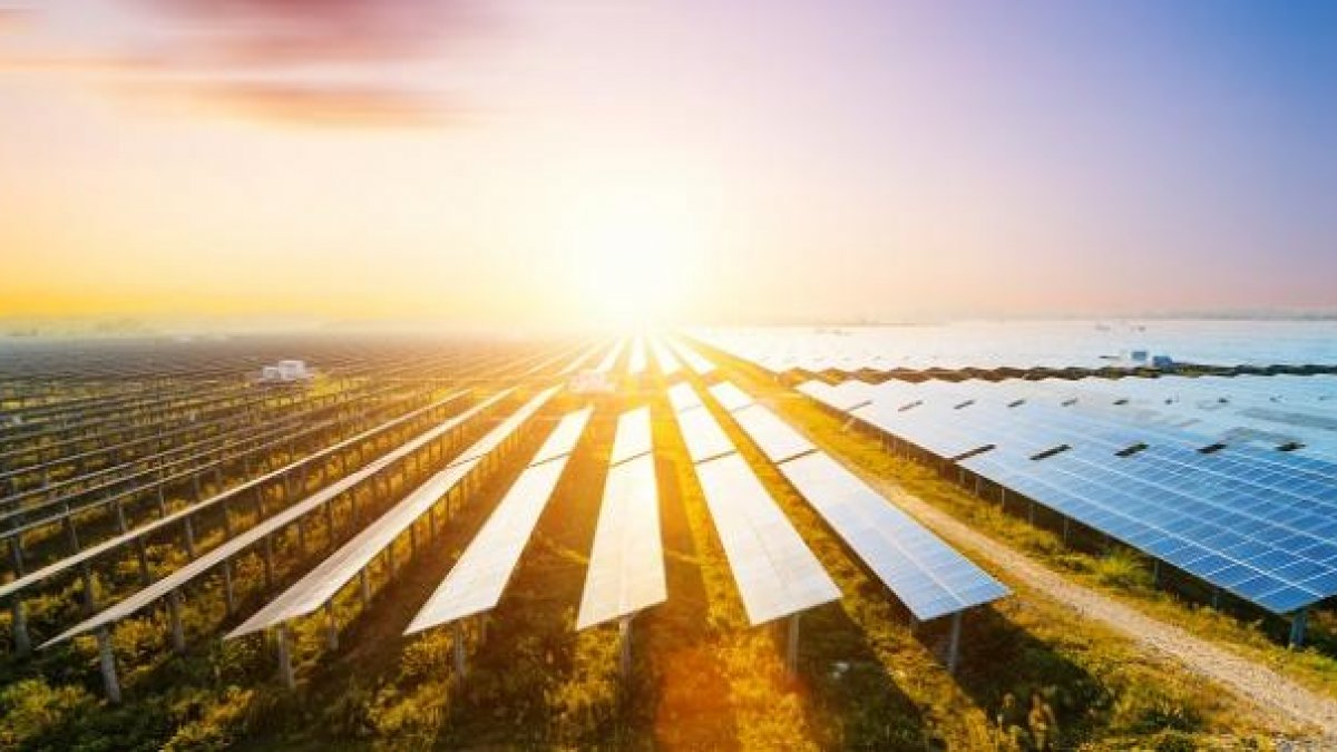 Solar panels under sunset
