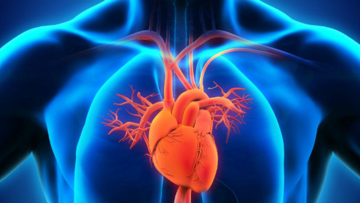 Illustration of heart