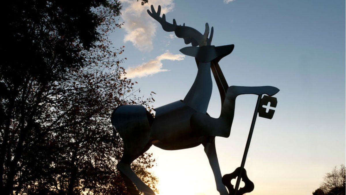 stag