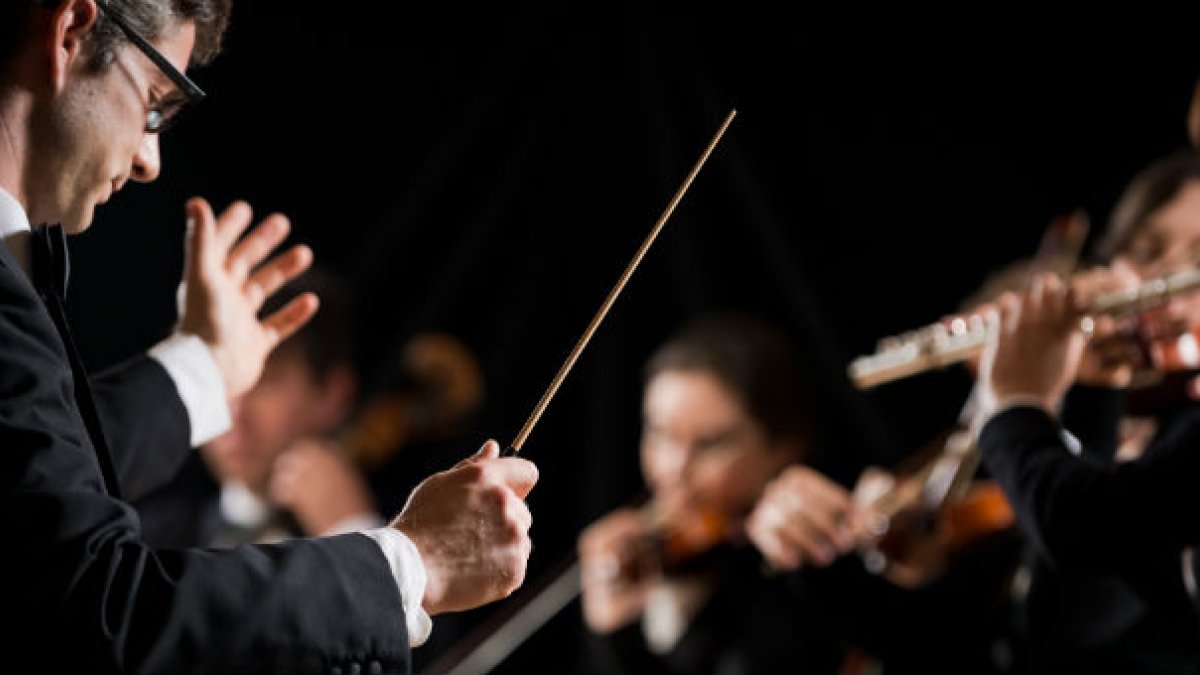 Conductor and orchestra