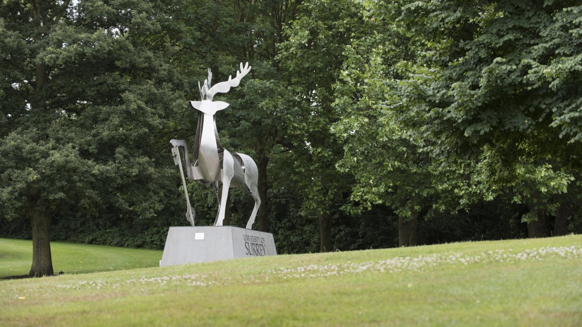 stag-hill Thumbnail