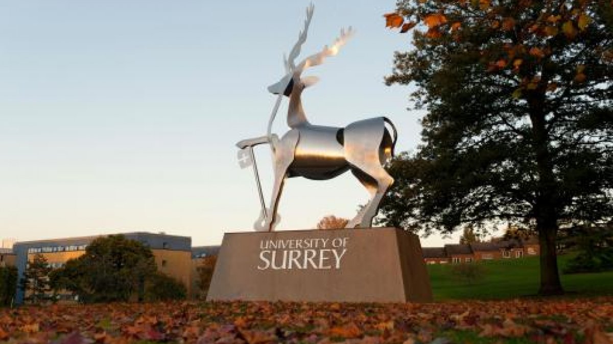 Surrey stag statue in Autumn