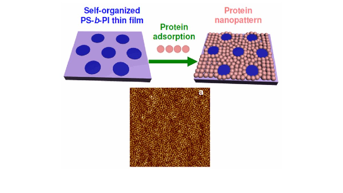 AFM image