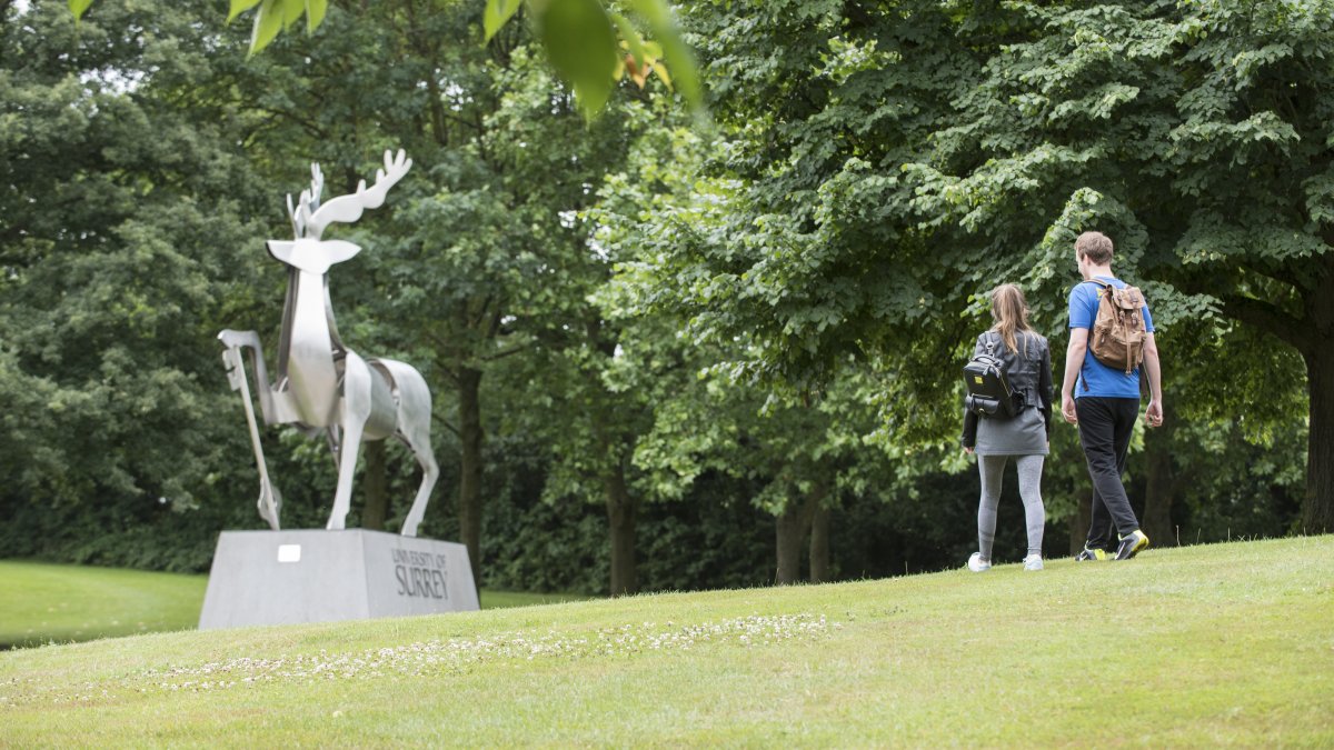 The University of Surrey campus