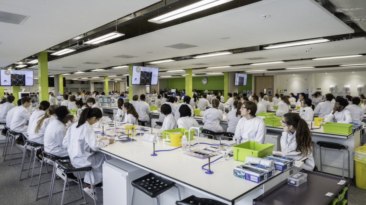 Students studing molecular builogy in the 200-seat Biology Laboratory