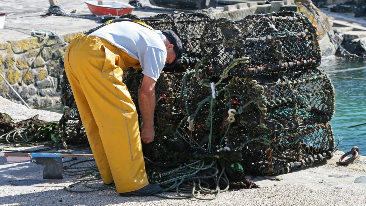 fisherman