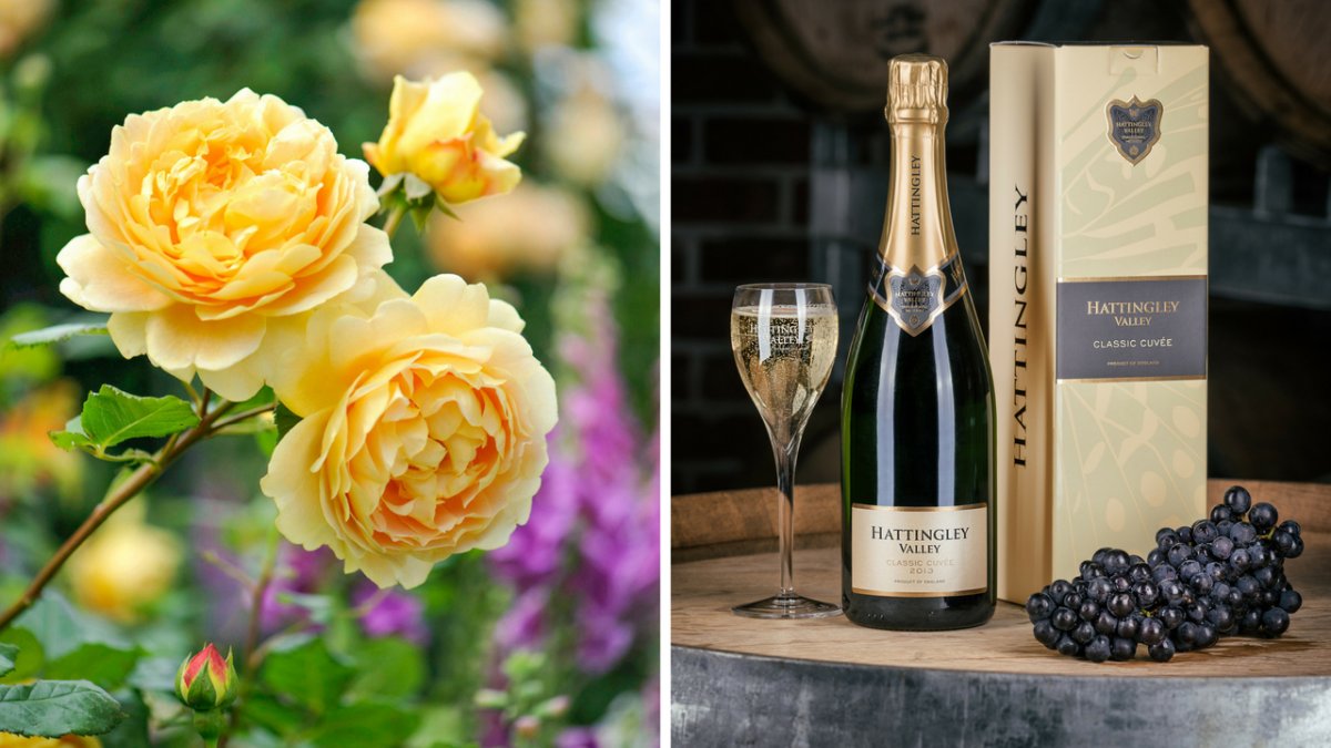 A flower and a bottle of champagne, offered as gifts to purchase upon graduation
