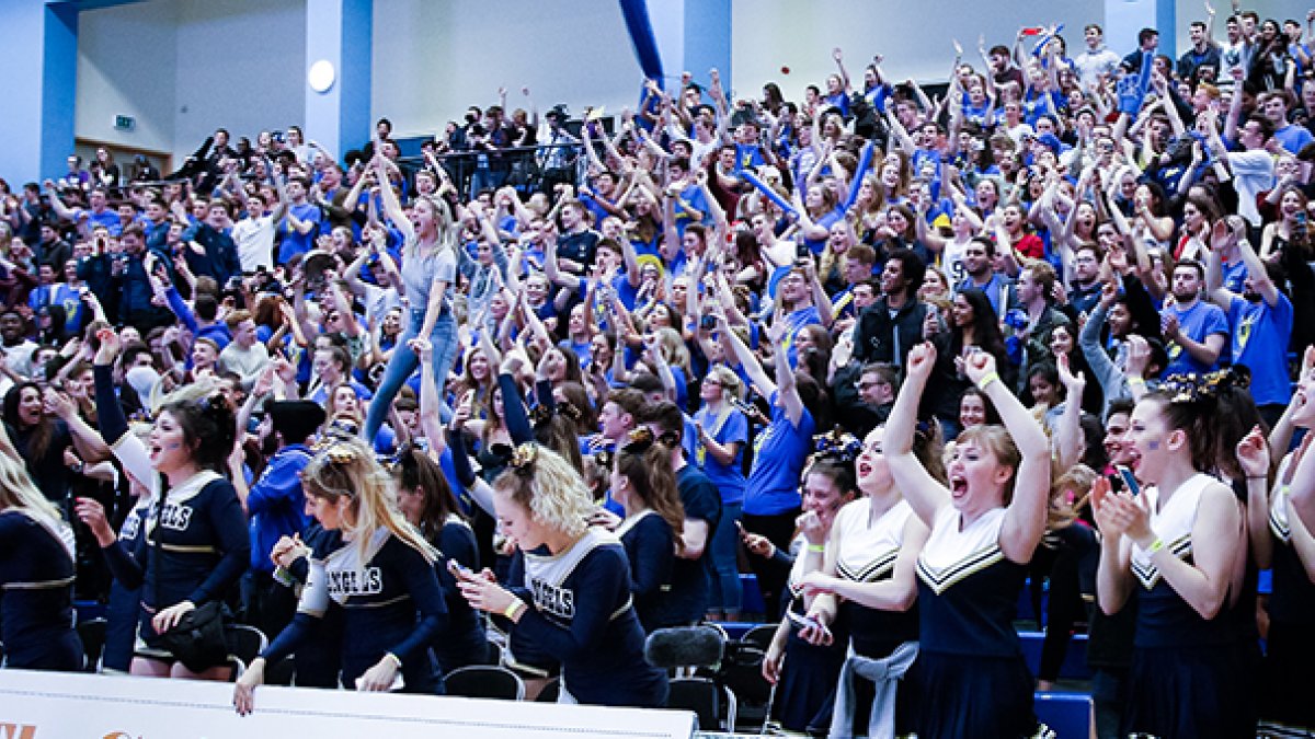 3.varsity Thumbnail