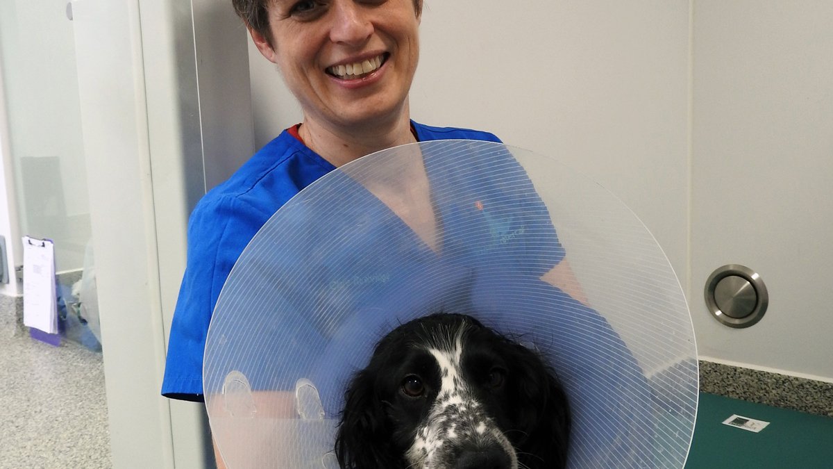 Clare Rusbridge with dog wearing an Elizabethan collar