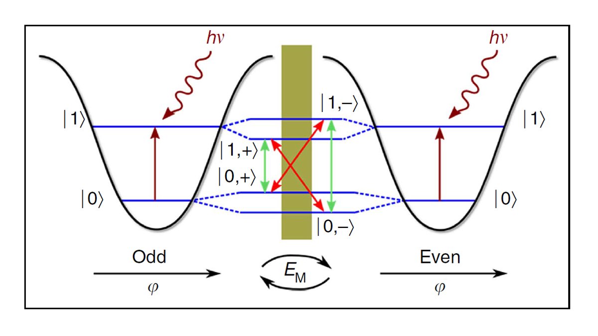 The influence of coherent electron tunnelling between Majorana states on the transmon spectrum.