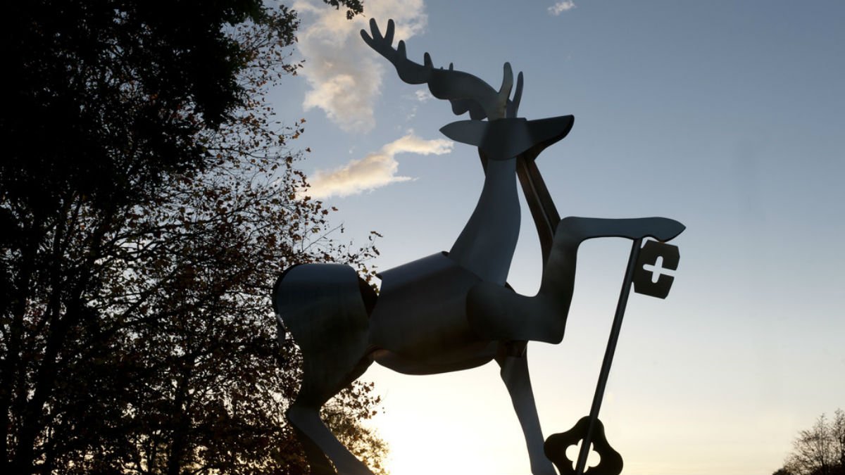 Stag image