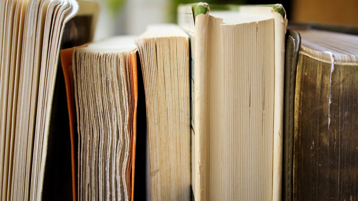 Books stacked up against each other vertically