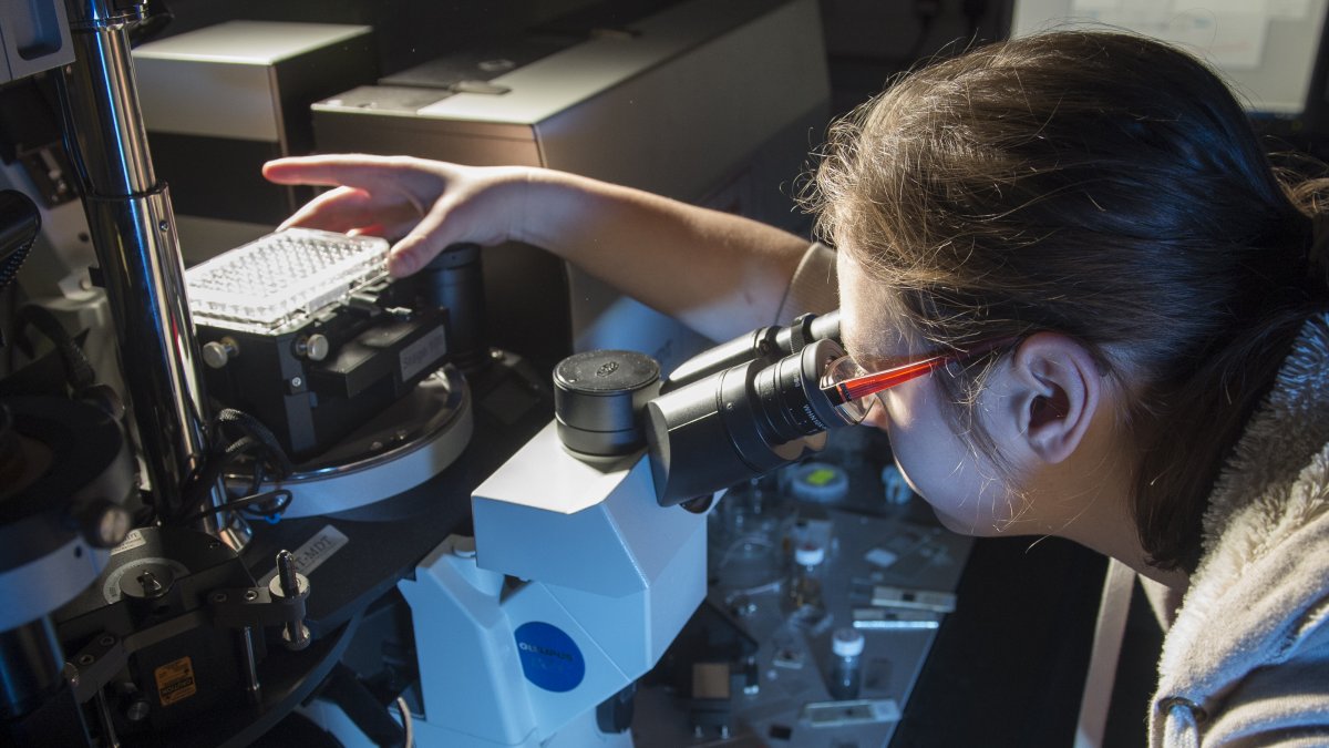 PhD student working at a microscope