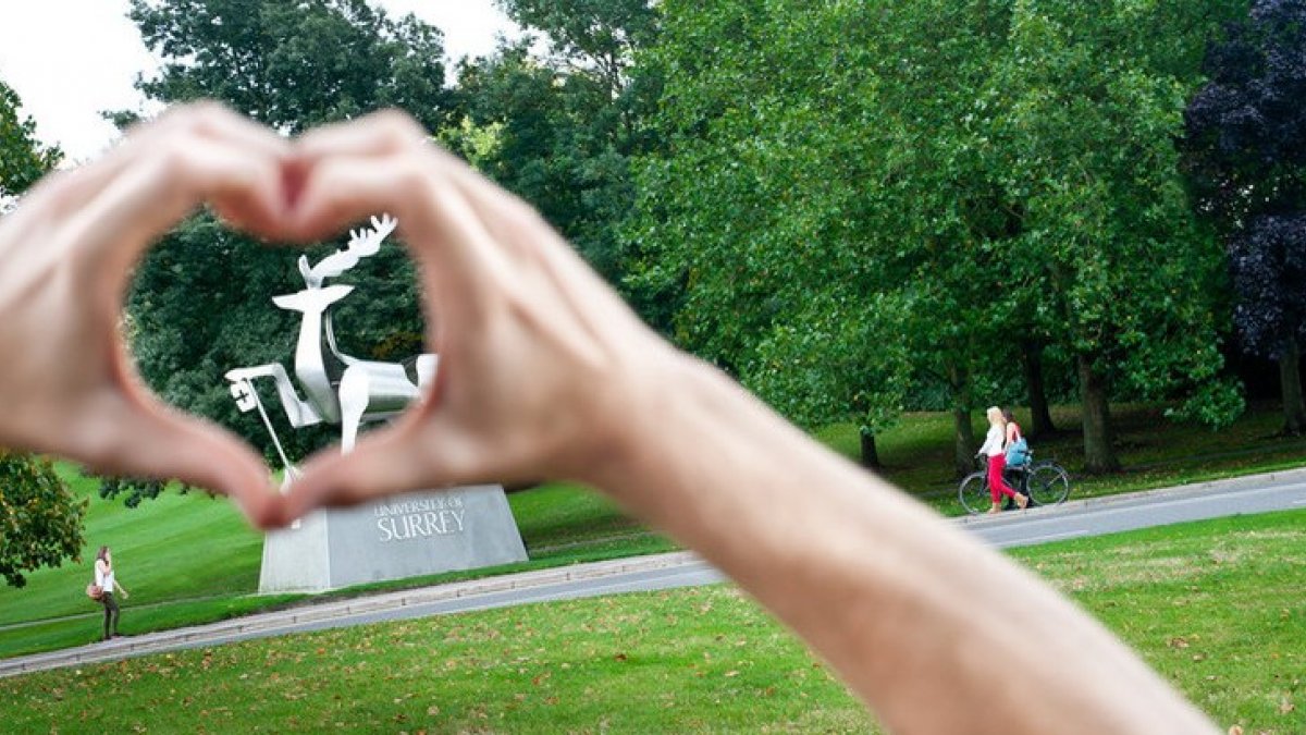 Hands forming a heart over Stag statue