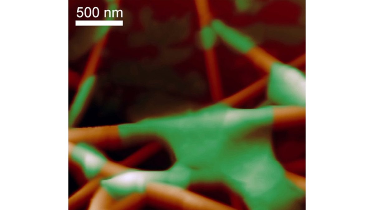 Silver nanowire/graphene hybrid transparent electrode for touch screen applications.