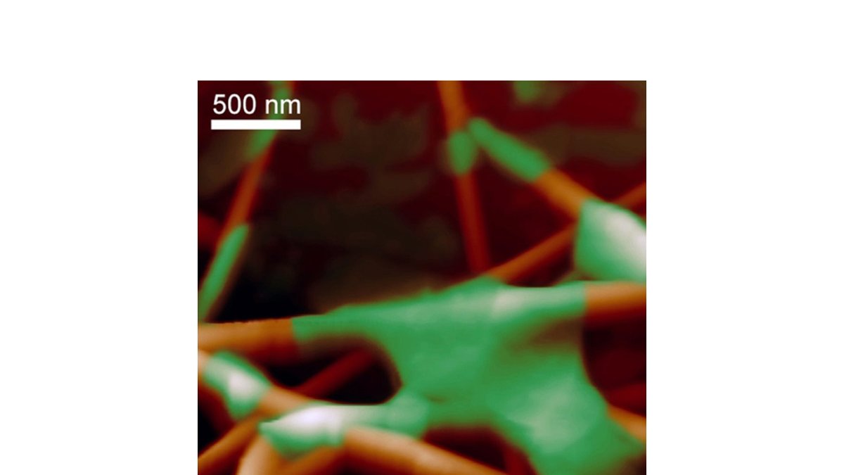 image-of-silver nanowire-media Thumbnail