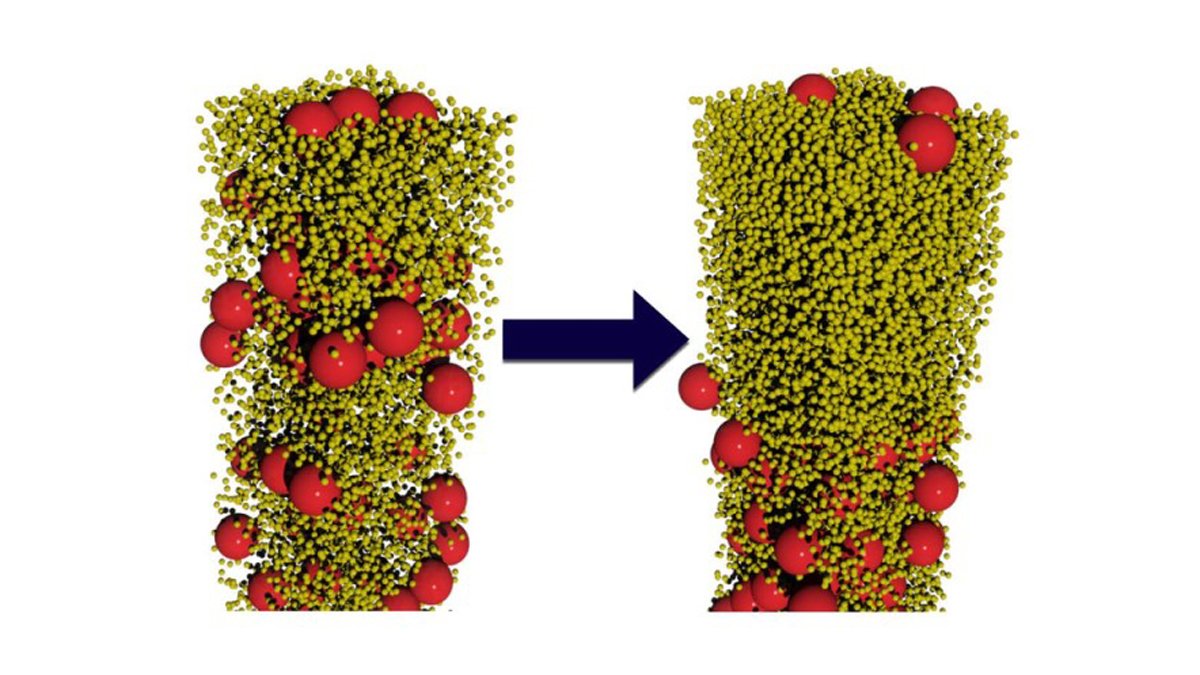 Simulation study of the drying of an initially liquid film that contains large (red) and small (gold) particles