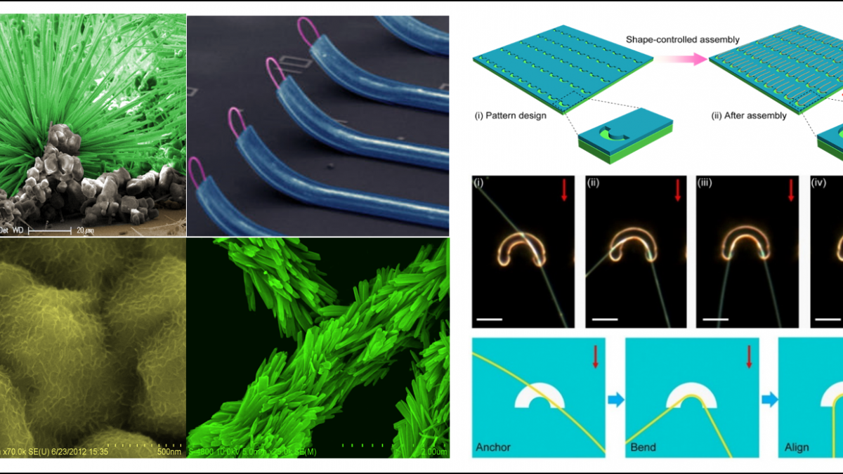 Advanced materials synthesis, assembly and in-situ characterization Thumbnail