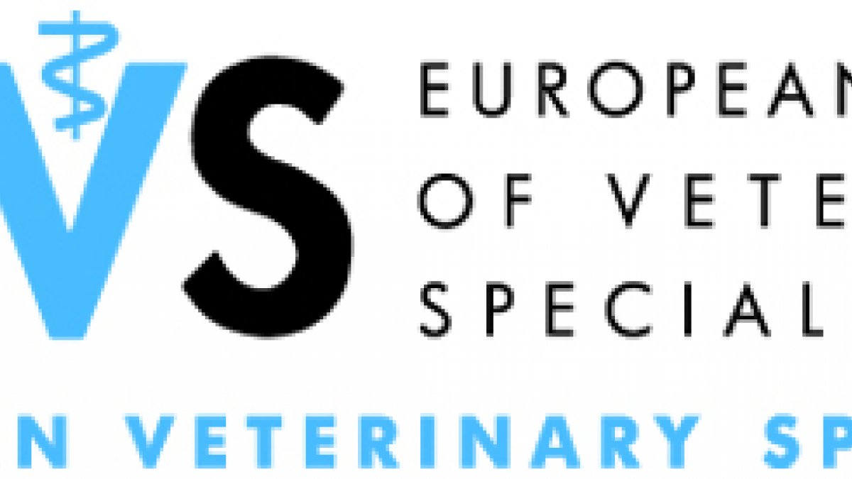 EBVS Specilaist Thumbnail
