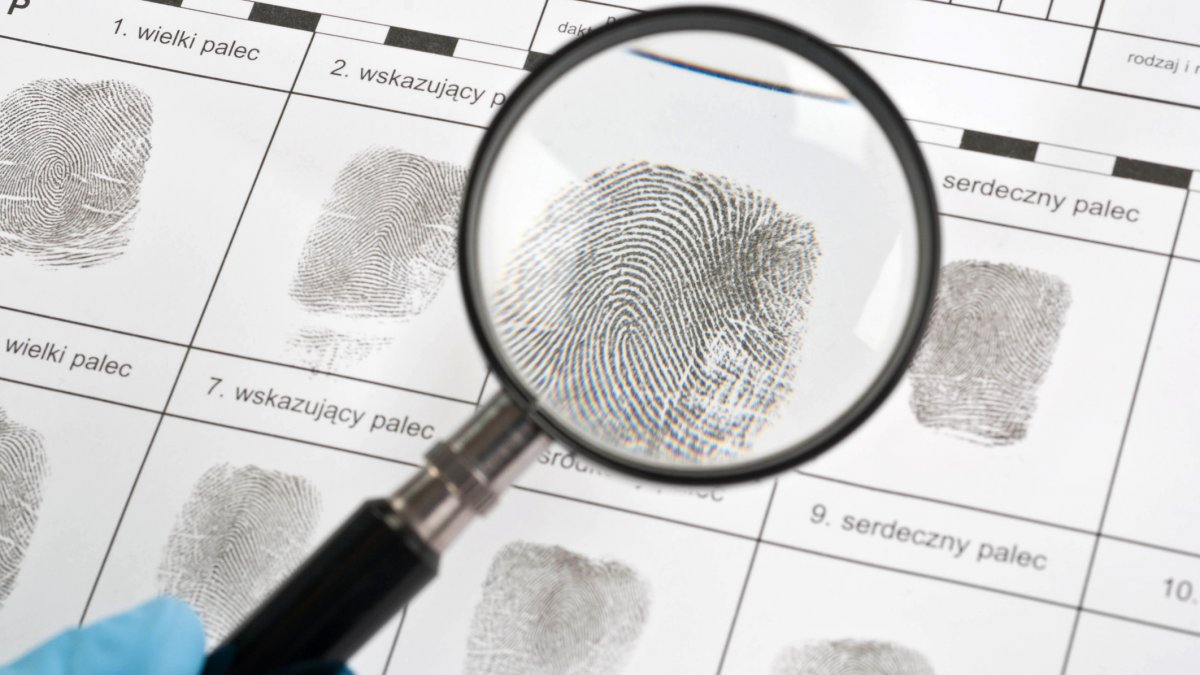 Fingerprints being analysed under a magnifying glass