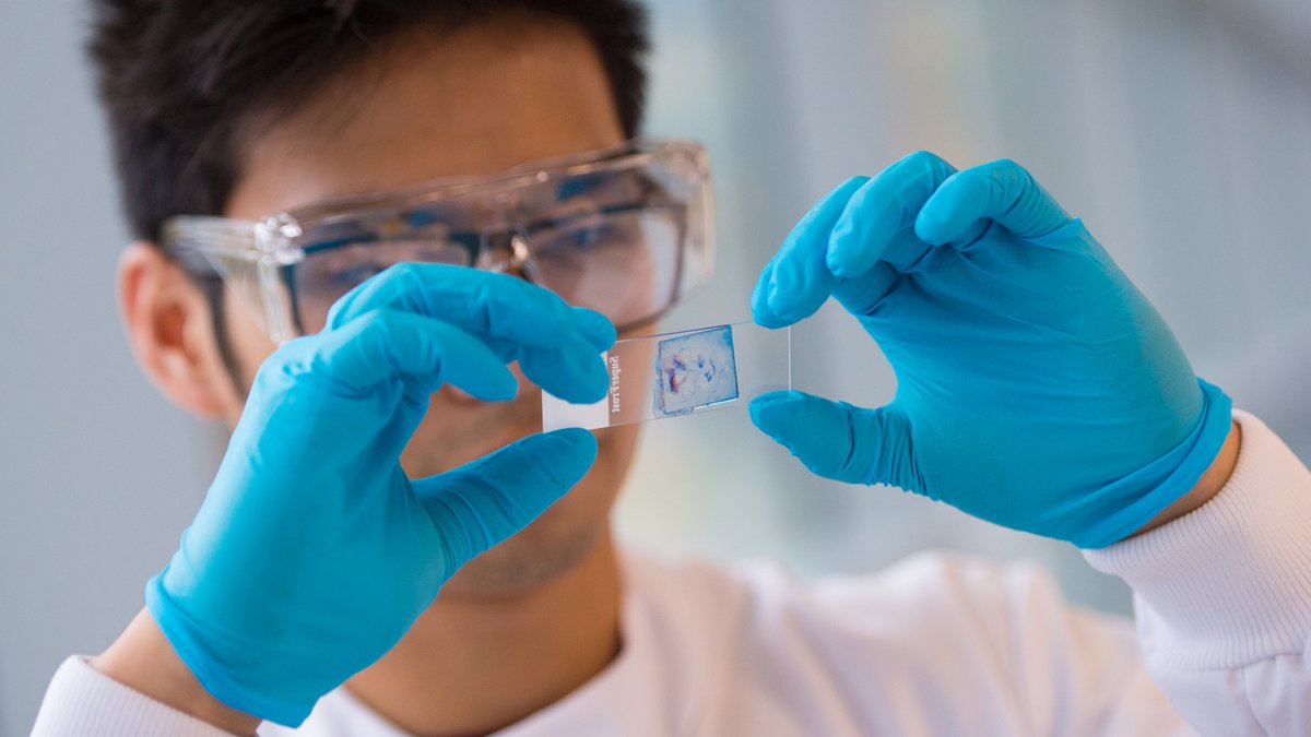 Biosciences research