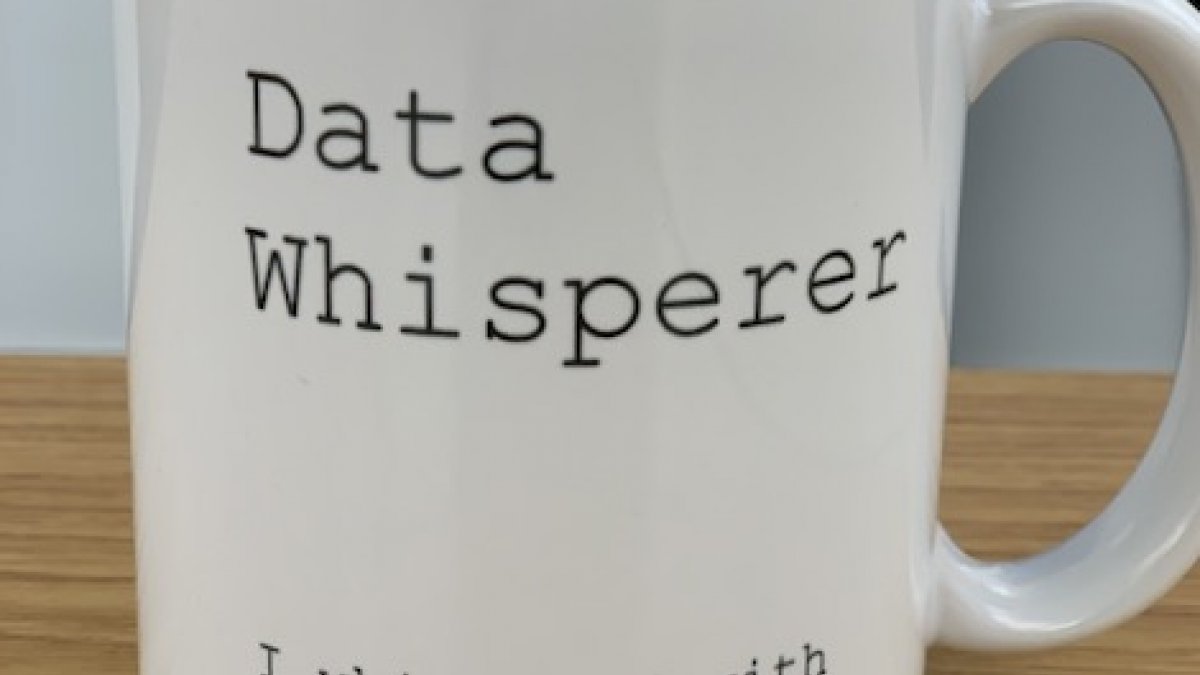 Data Whisperer