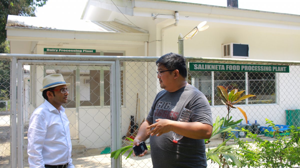 Salikneta Farm Philippines- site for impact case study, Newton Fund Project NexCities