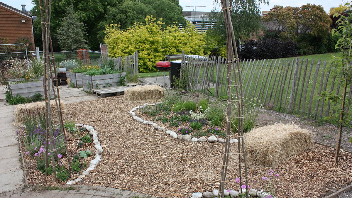 The community garden on campus