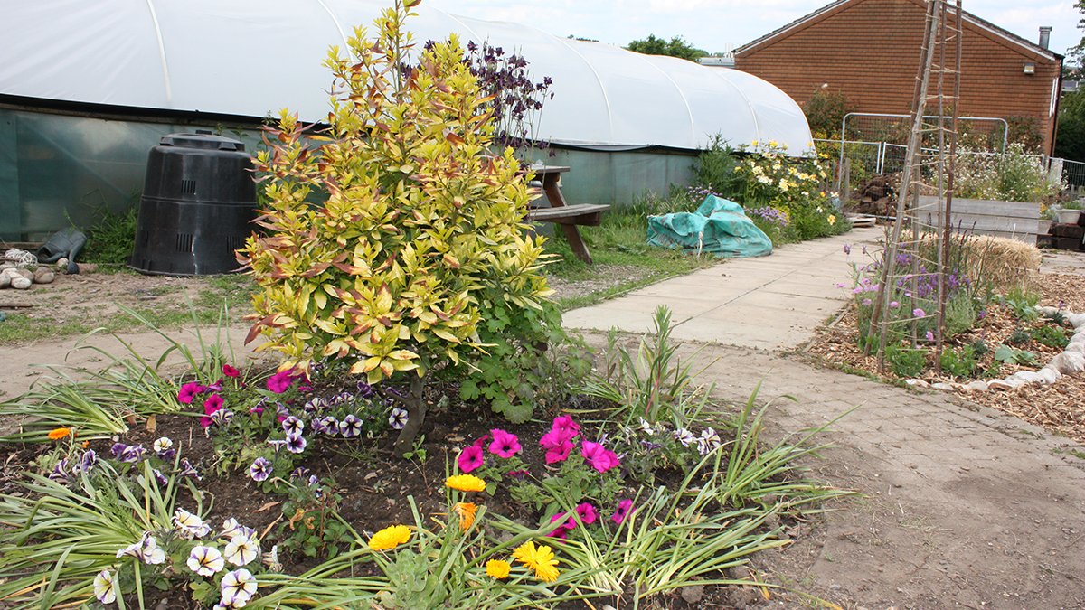 The community garden on campus