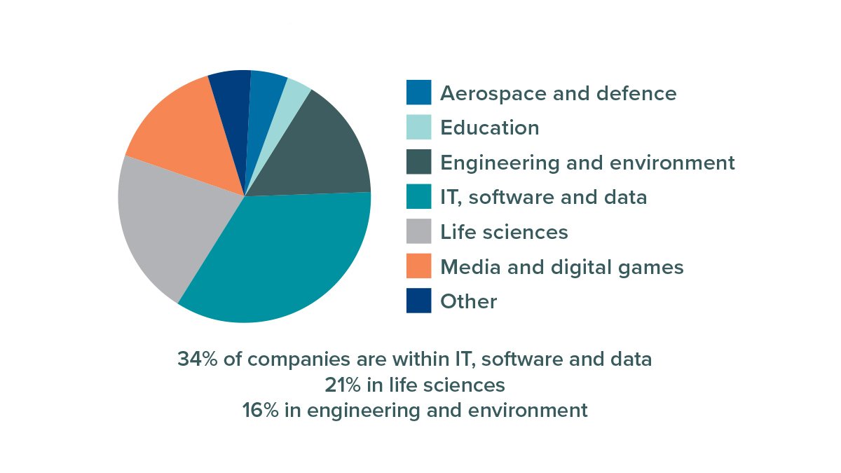 Pie chart