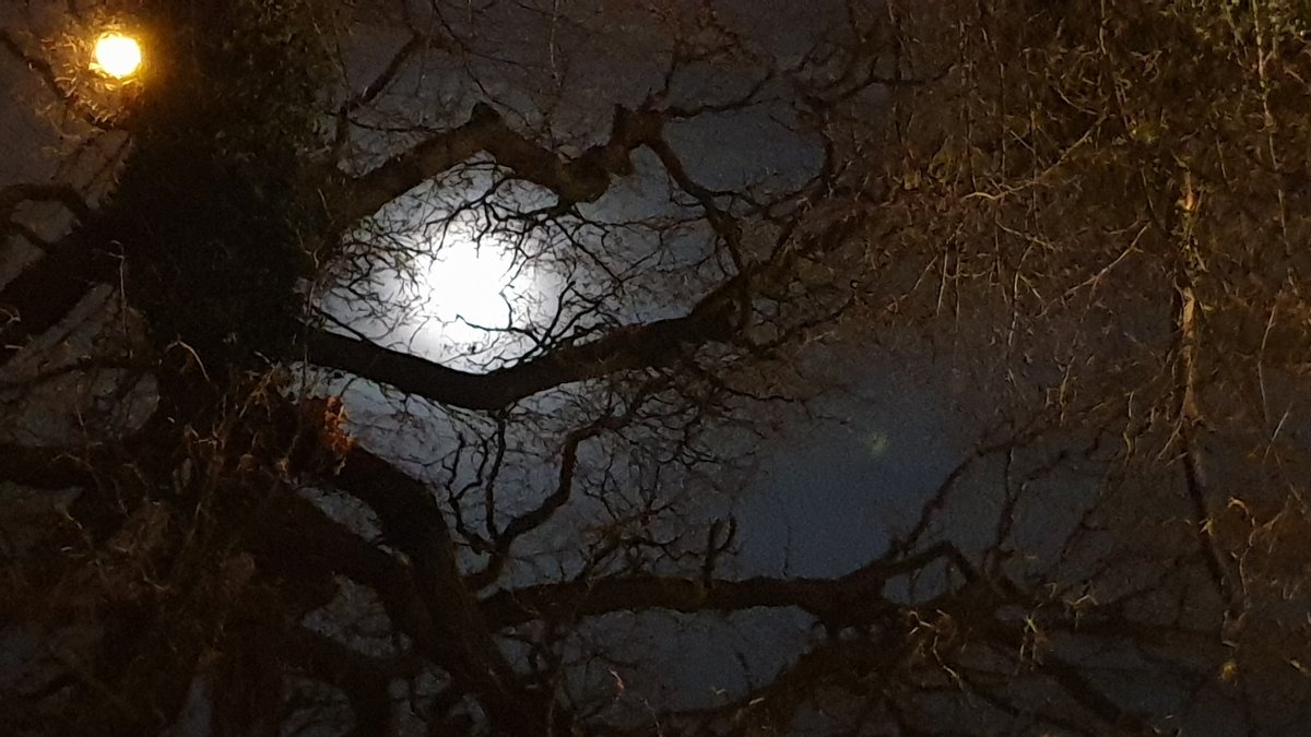 Paul Clark Moon